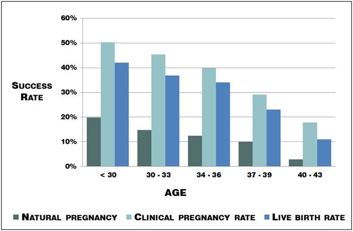 Misleading Ivf Success Rates The Numbers You Really Need To Know