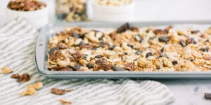 PCOS Diet Recipe Trail Mix